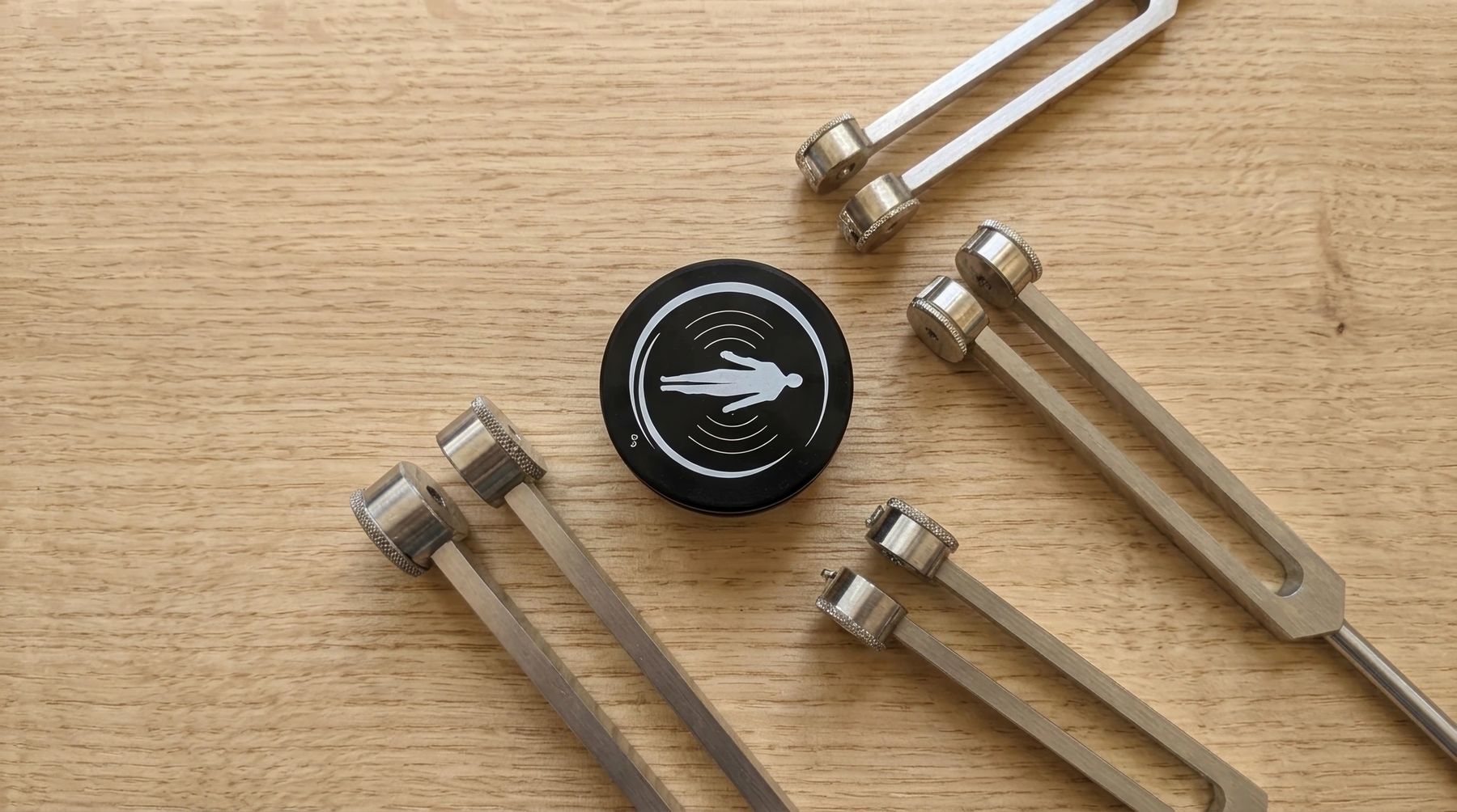 The BioSona Biofield Tuning fork set arranged on pale Tasmanian oak, with the practitioner disc and selenite wand — the tools Frederica uses in a Biofield Tuning session.